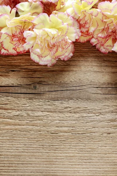 Carnation flowers on wooden background — Stock Photo, Image