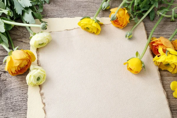 Colorati fiori di ranuncolo persiano (ranuncolo) e shee vintage — Foto Stock