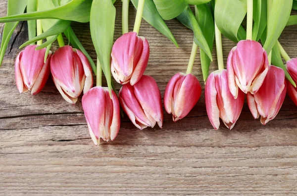 Krásné růžové tulipány na dřevěné pozadí — Stock fotografie