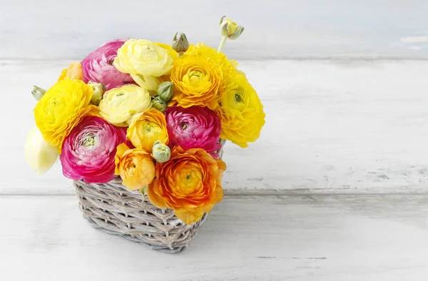 Boeket van kleurrijke ranunculus bloemen. — Stockfoto