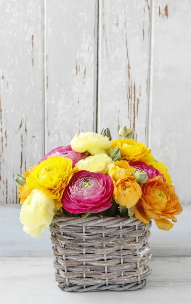 Boeket van kleurrijke ranunculus bloemen. — Stockfoto