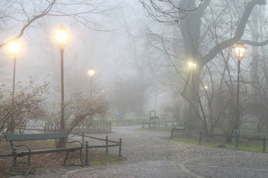 Eski Park puslu akşam.
