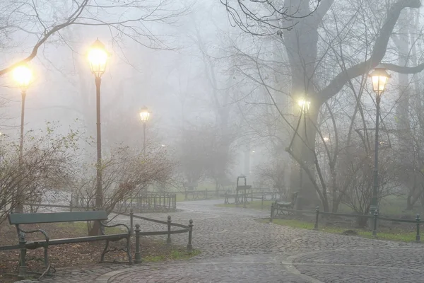 Nebbia serata nel vecchio parco . — Foto Stock