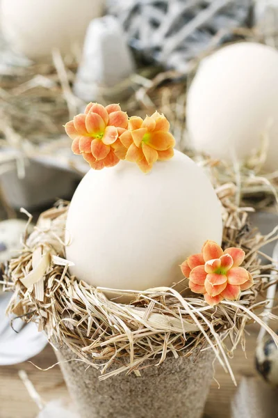 Simple easter decoration with egg, hay wreath and Kalanchoe blos — Stock Photo, Image