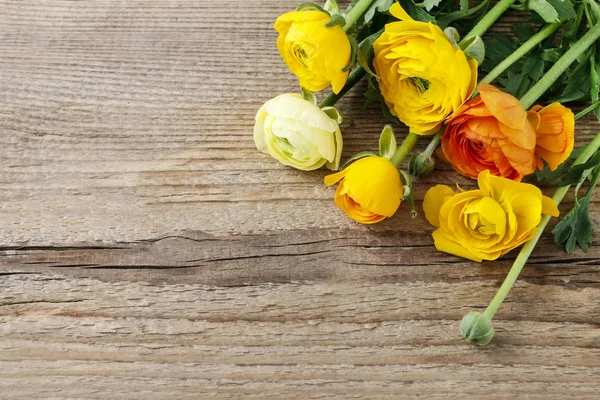 Gelbe Persische Hahnenfuß Blüten Hahnenfuß Auf Holz Grafische Ressourcen — Stockfoto