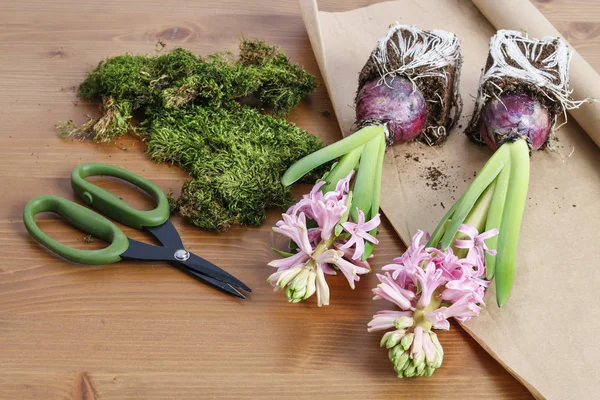 Hyacinth flowers on table — Stock Photo, Image