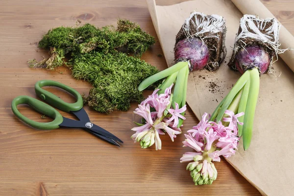 Flores de jacinto na mesa — Fotografia de Stock