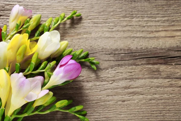 Bunte Freesia-Blumen auf Holzgrund — Stockfoto