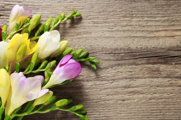 Fleurs freesia colorées sur fond en bois — Photo