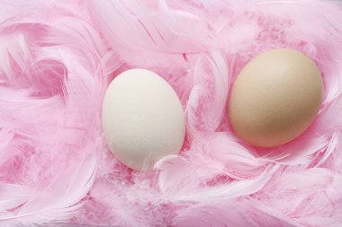 Pembe tüyler yalan yumurta. 