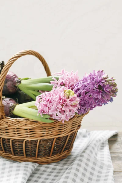 Korg med hyacint blommor — Stockfoto
