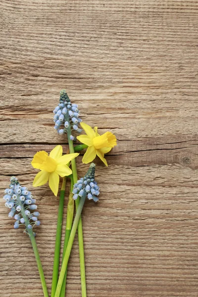 Påskliljor och muscari blommor på trä bakgrund — Stockfoto