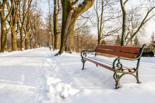 Panchina sotto la neve . — Foto Stock