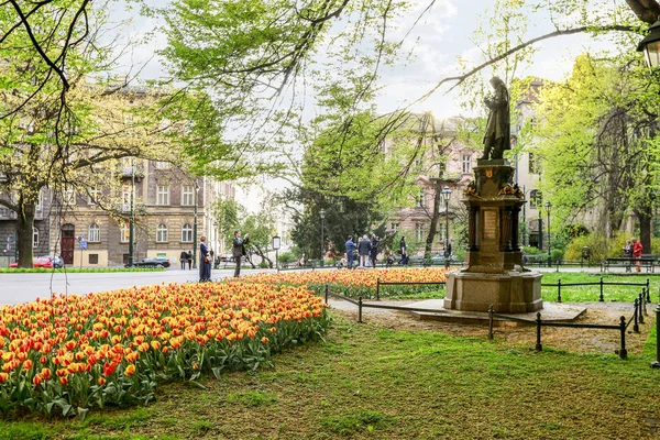 KRAKOW, POLAND - APRIL 17, 2016: Fields of tulips in the city ce — Stock Photo, Image