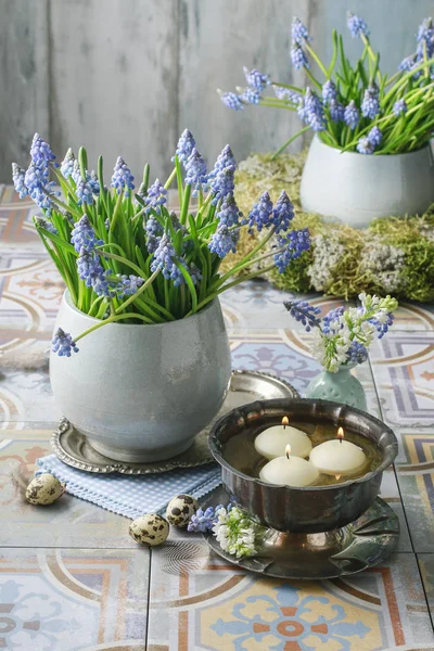 Ramo de flores de muscari (jacinto de uva) y tazón con agua —  Fotos de Stock