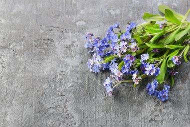 Unutma çiçek gri taş zemin üzerine