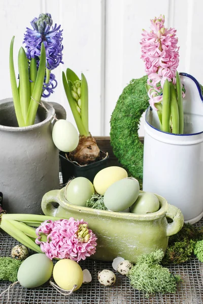Hiacynt kwiaty dekoracji — Zdjęcie stockowe