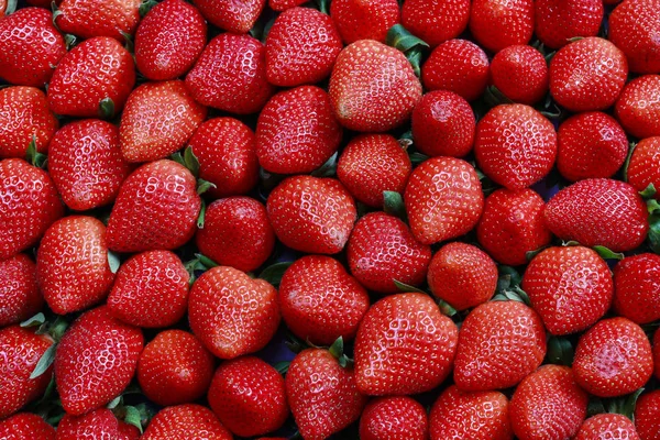 Erdbeerfrüchte Hintergrund — Stockfoto