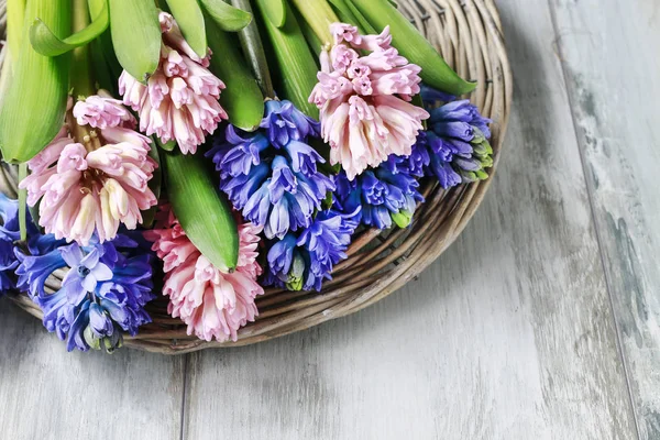 Boeket van de bloemen van de hyacint — Stockfoto