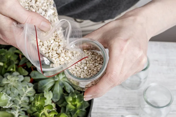 How to make floral arrangement with succulent plants tutorial — Stock Photo, Image