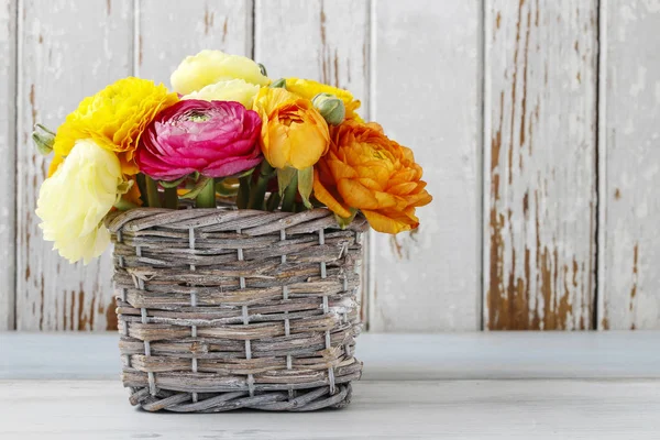 Bouquet of colorful ranunculus flowers. — Stock Photo, Image