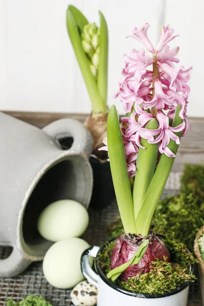 Fiori di giacinto. Idea di decorazione tavolo Pasqua . — Foto Stock