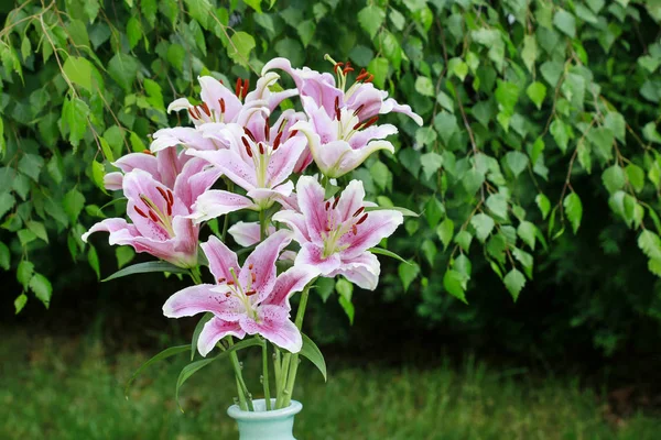 Bouquet of lilies in the garden.