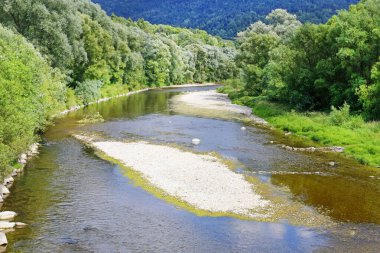Nehir ve yemyeşil ağaçlarla kaplı dağ manzarası.