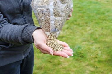 Elinde ot tohumları tutan kadın