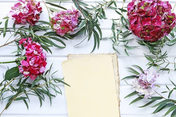 Röd hortensia blomma och grön agonis kvistar på vit trä rygg — Stockfoto