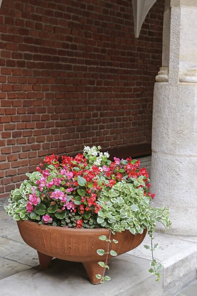 Un grand pot en pierre avec des fleurs devant une brique historique — Photo