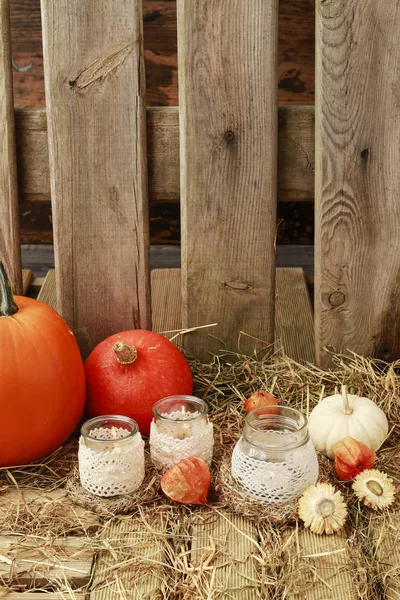 Höst dekorationer med pumpor, hö, löv och vackra lant — Stockfoto