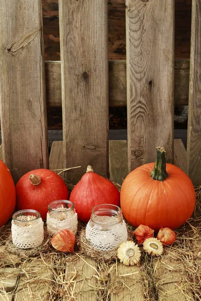 Autumn decorations with pumpkins, hay, leaves and beautiful lant — Stock Photo, Image