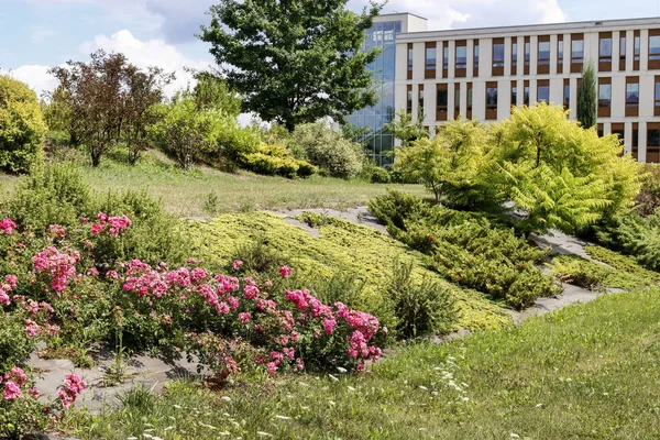 KRAKOW,POLAND - JUNE 23, 2019:  Botanical garden in front of mod — Stock Photo, Image