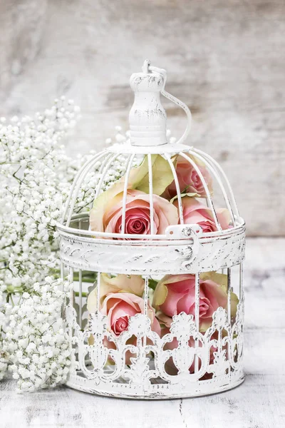 Růžové růže v krásné vinobraní ptačí klece — Stock fotografie