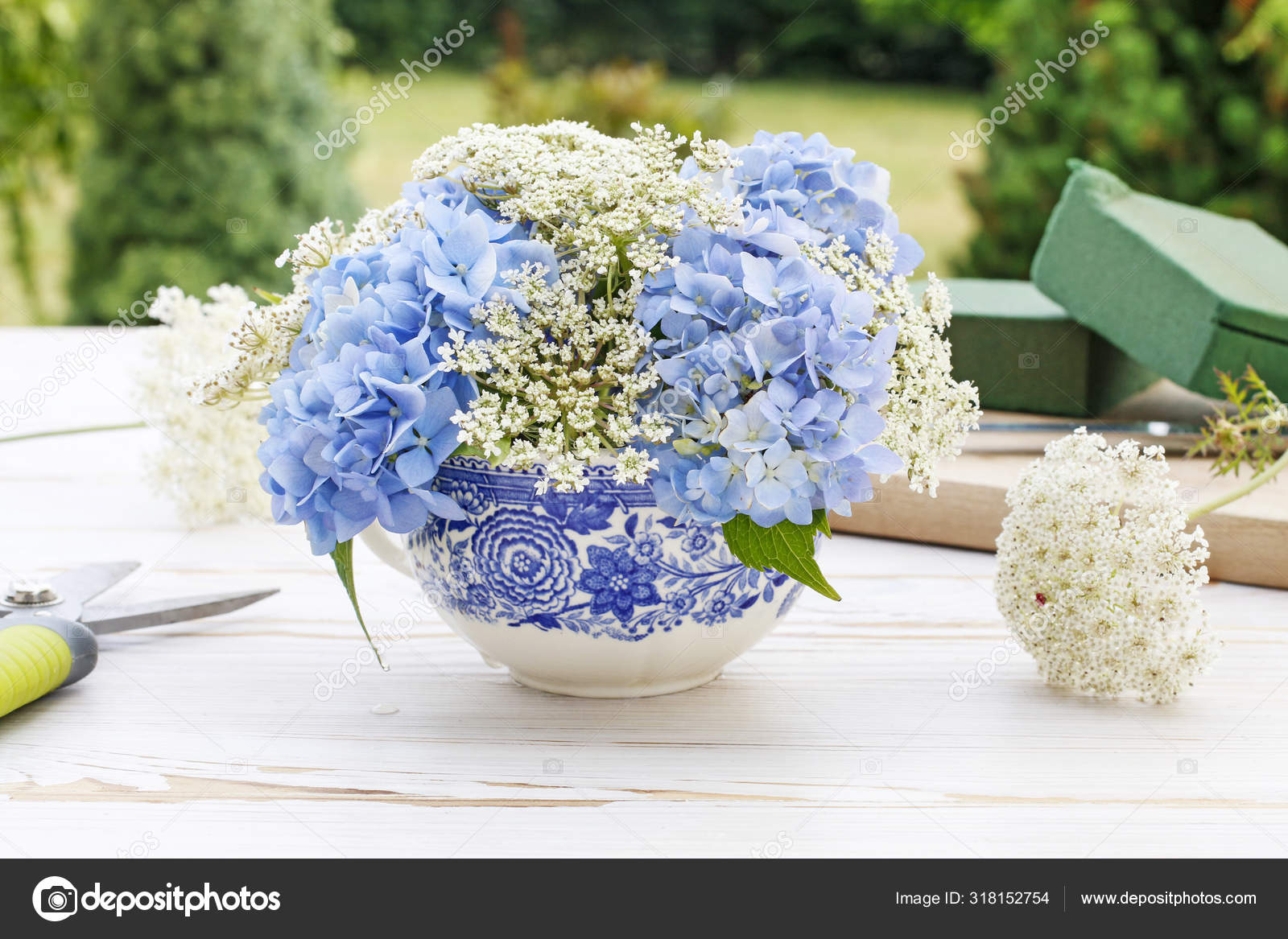 如何与蓝马鞭草 英语 Blue Hortensia 英语 Blue Hortensia 海马鞭草 进行植物排列a 图库照片 C Agneskantaruk