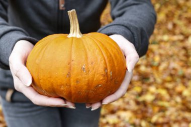 Kadın büyük bir balkabağı tutuyor.. 
