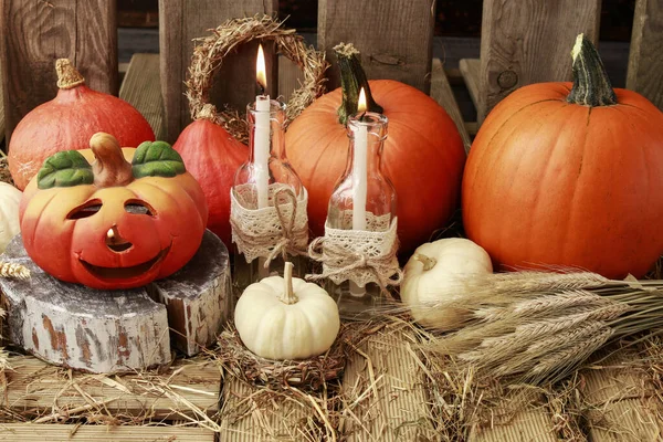 Höst dekorationer med pumpor, hö, löv och vackra lant — Stockfoto