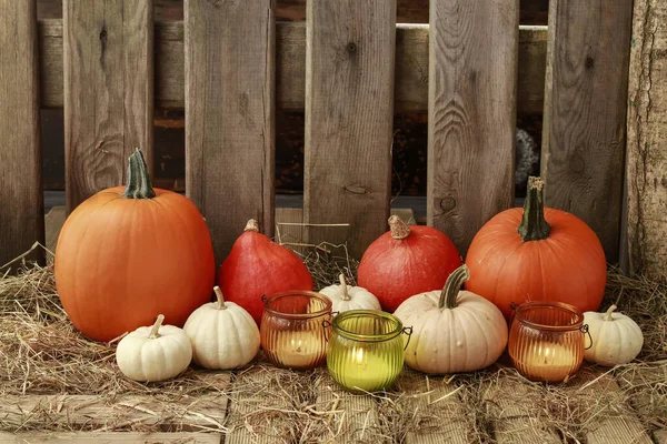 Beautiful autumn decoration with pumpkins, hay and candles. — ストック写真