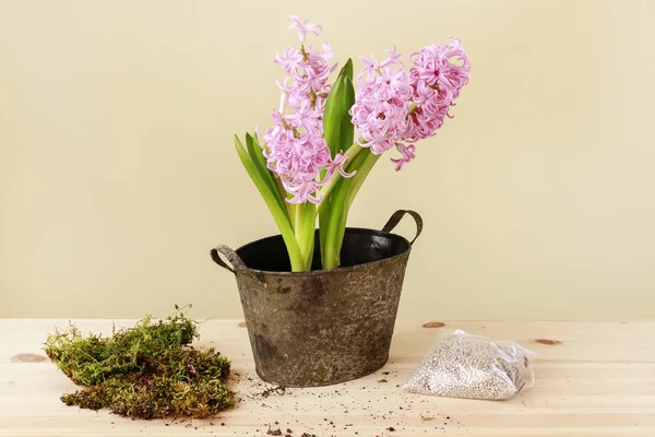 How to make table decoration with pink hyacinth flowers — ストック写真