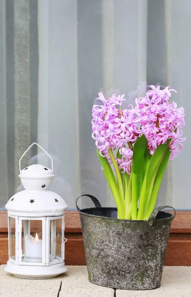 Pembe sümbül çiçekleriyle nasıl masa dekorasyonu yapılır? — Stok fotoğraf