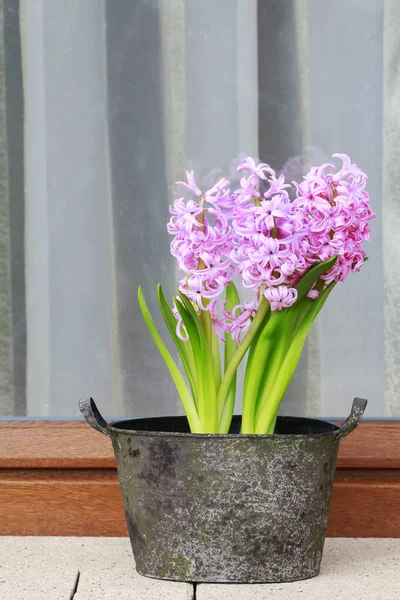 How to make table decoration with pink hyacinth flowers — Stock Photo, Image