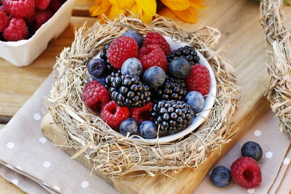 Blueberries, blackberries and raspberries together in one plate. — Stock Photo, Image