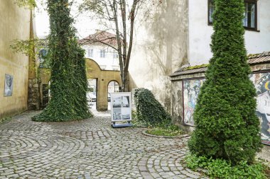 Krakow, Polonya - Ekim 04, 2019 Sarmaşık kaplı ağaçlar