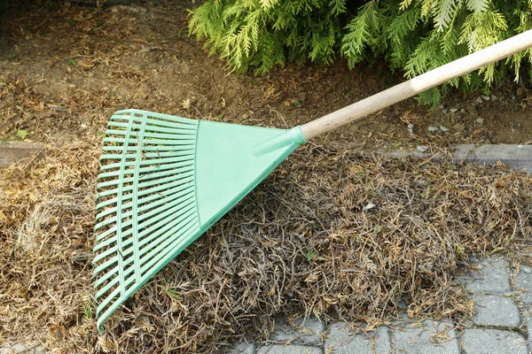 Spring cleaning in the garden. Raking dry leaves. — Stock Photo, Image