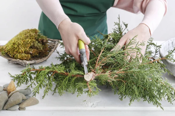 Woman shows how to make small christmas tree with a coniferous s — Stock Photo, Image