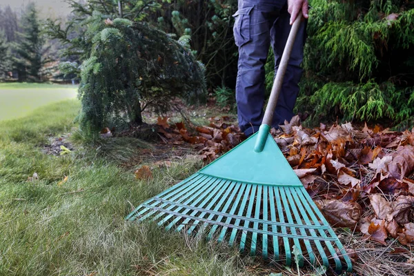 Lente reiniging in de tuin. Veeg droog blad. — Stockfoto