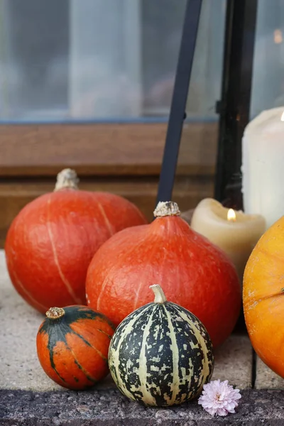 Colorful pumpkins and candles in the background. — 스톡 사진