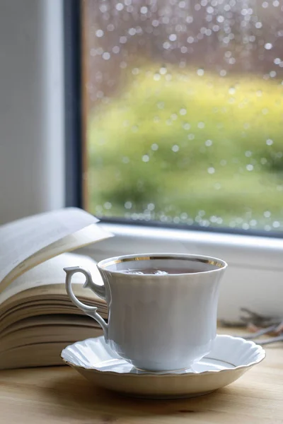 Porcelain cup with hot tea, soft blanket and open book by the wi — 스톡 사진