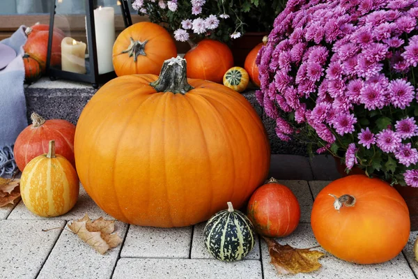 Beautiful home decoration with pumpkins, chrysanthemum flowers a — 스톡 사진